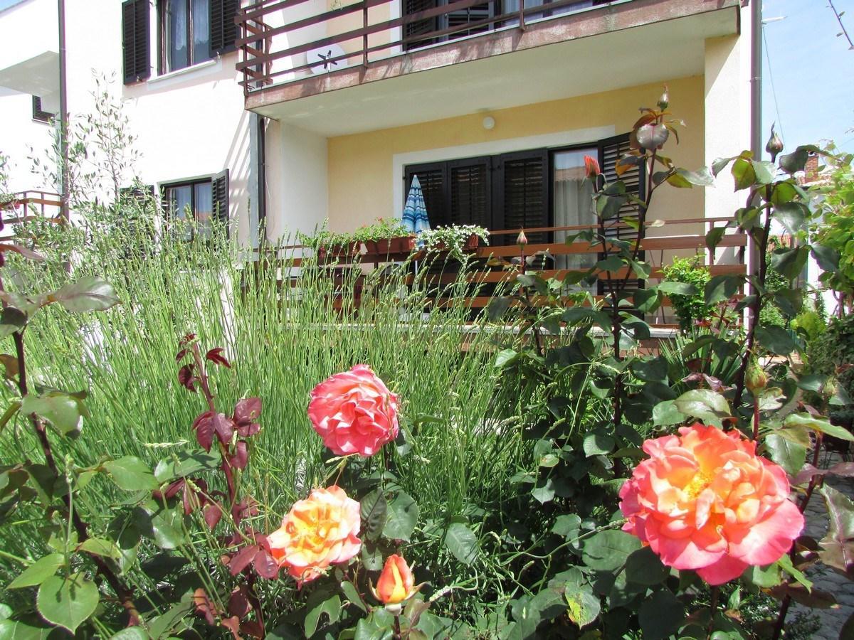 Mirela House With Apartment Umag Exterior photo
